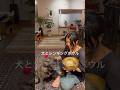 犬も大好きなシンギングボウルセラピー #シンギングボウル