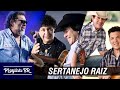 SELEÇÃO - CLÁSSICOS DO SERTANEJO RAIZ