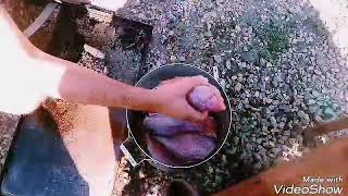 Коптим морского окуня