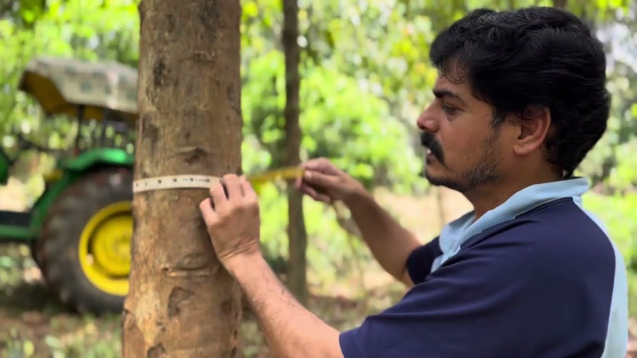 തേക്കു കൃഷി മലയാളത്തിൽ .  Teak plantation in malayalam