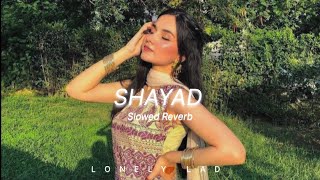 Shayad - Lofi [Slowed   Reverb] | Kartik | Sara | Arushi | Pritam | Arijit Singh | Lonely Lad