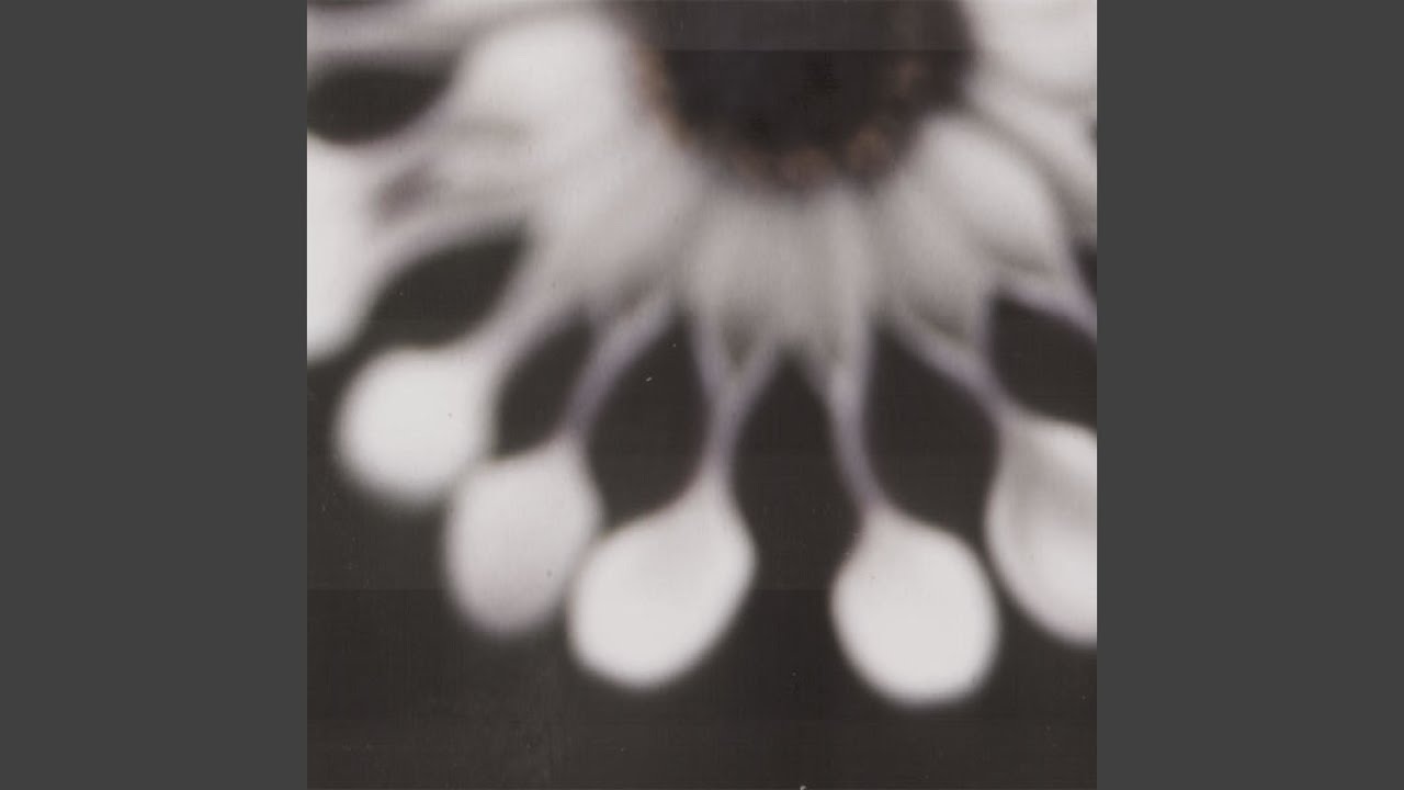 Watch Aufland on YouTube Watch Aufland on YouTube