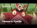 Философия Тимона и Пумбы