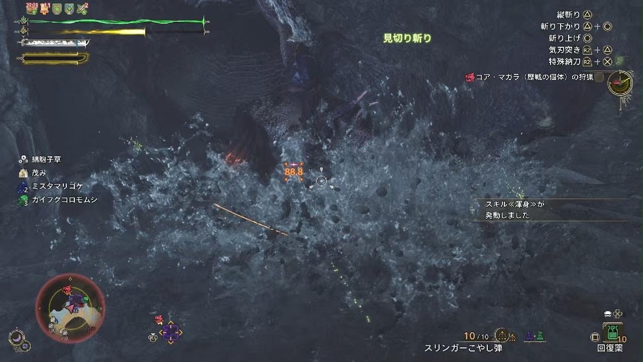 レギオス（7:03）_ワイルズ