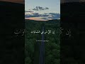 ل ق د أ ح ص اه م و ع د ه م ع د ا ماهر المعيقلي ارح سمعك راحة نفسية