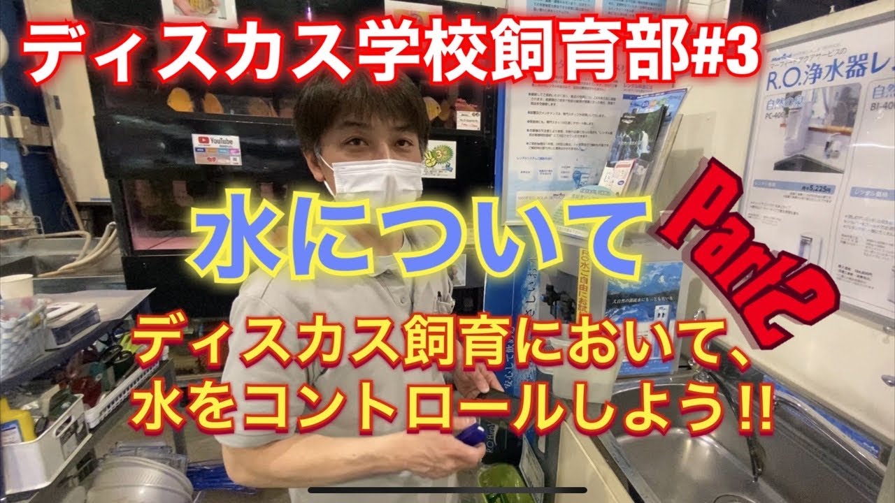 ディスカス学校飼育部 3 Part2 水を制したものはディスカスをも制す Youtube ディスカス学校飼育部 3 Part2 水を制したものはディスカスをも制す Youtube