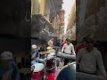 اسمعوا الصولو ده اورج محمد مزيكا اسمعوا الصولو ده اورج محمد مزيكا