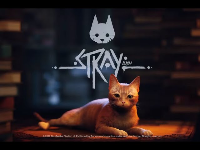 STRAY - O INÍCIO DA AVENTURA!