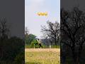 OMG 😲Short Suvham 💪🔥🏏 #trending #cricket #short #shorts #explore #viralvideo #viral #reels #viwe