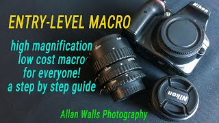 Information Entry-Level Macro News