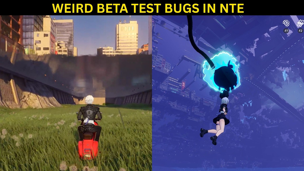 Bugs Bro encountered while playing NTE Beta Test...
