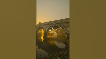 سورة الأحزاب | للقارئ ياسر الدوسري #قرآن #راحة_نفسية #ياسر_الدوسري