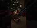 The Christmas Visitor… SCP Keter”
