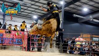 LOS REYES DE JALISCO VS. LOS TOROS DIVINOS EN CHICAGO