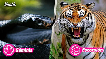 ¿Qué animal es Géminis?