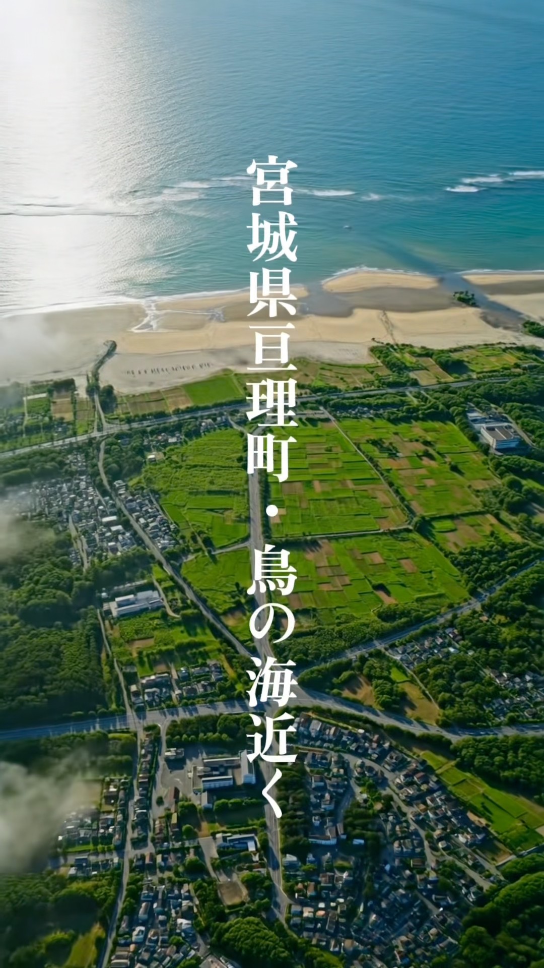宮城県】亘理町8000坪の土地に、ドックラン、BBQスペース、ステーキ