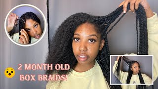 Taking Out My 2 Month Old Box Braids My Hair Grew Removing Build up