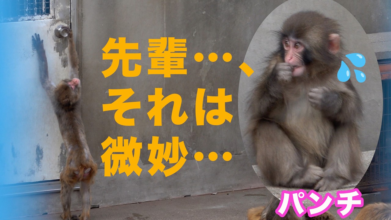 パンチくん号 俺のマシン 妄想劇場パンチくんとオランママとの思い出No 