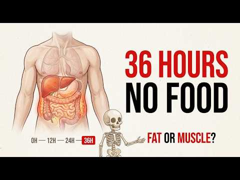 What Happens to Your Body During a 36-Hour Fast (Hour by Hour)