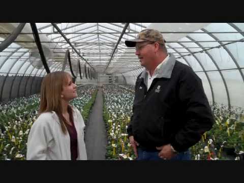 Casey Visits Bailey Nurseries Youtube