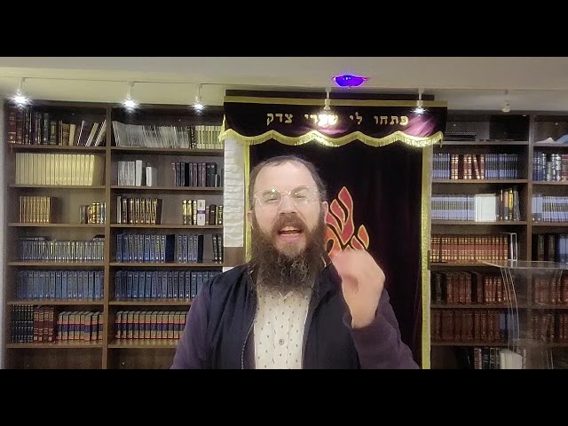 הכנרת vs ים המלח. עם ישראל חי. כח הנתינה. הרב דוד כץ . חב"ד ווסט המפסטד פרשת פקודי / חזק