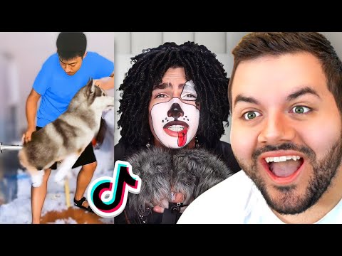 Duets That Make TikTok Better!