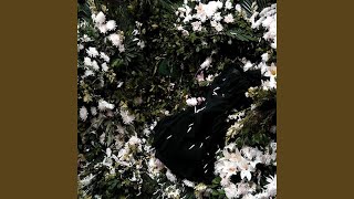 빠른 구름 Fast Moving Clouds - 줄리아 하트 Julia Hart
