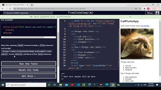 Create a form element, freecodecamp, html&css