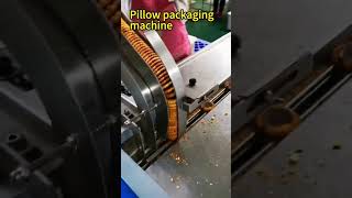 Automatic Biscuit Pillow Packing Machine High-Speed Food Packaging
