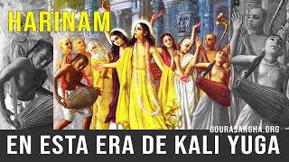 EN ESTA ERA KALI LA UNICA FORMA ES HARINAM #harinam #kaliyuga #mahamantra