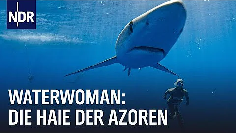 Waterwoman | Folge 1: Hautnah bei den Haien der Az...