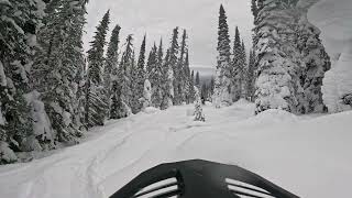 Sicamous Sledding Feb, 2025