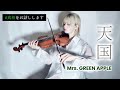 「天国」Mrs. GREEN APPLE バイオリンで表現してみた【#真相をお話しします 】