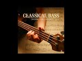 Lefty Bass Player on Ibanez – Groove, Technique, and Tone Showcase  🇺🇸