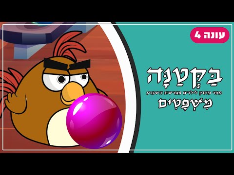 בַּקְּטַנָּה 4 | פרשת משפטים לילדים
