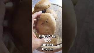 ממרח כבד טבעוני