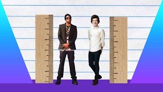 How Much Taller - Jay Z vs Harry Styles!
