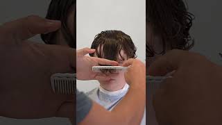 His Dad Paid 100$ for this haircut.