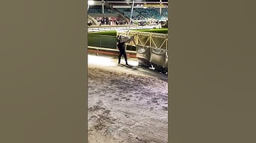 The Man Who Tricks Racing Dogs at 45 MPH 🐕💨