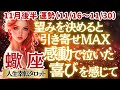【♏蠍座さん💖11月後半運勢】〈貴方が望めばドンドン願いは叶えられる✨凄いカードばかりに感動が止まらない‼自分の力を人生を信じて💗〉 人生幸転タロットリーディング 占い さそり座 太陽星座・月星座