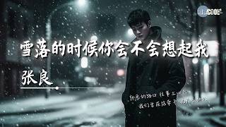 张良 - 雪落的时候你会不会想起我「现在人又在哪呢」【🎧AI高质音乐/拼音歌词 Eng Lyrics】