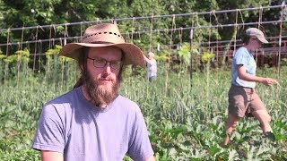Around Akron with Blue Green: July 2019