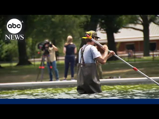 Reflecting Pool troubles - YouTube