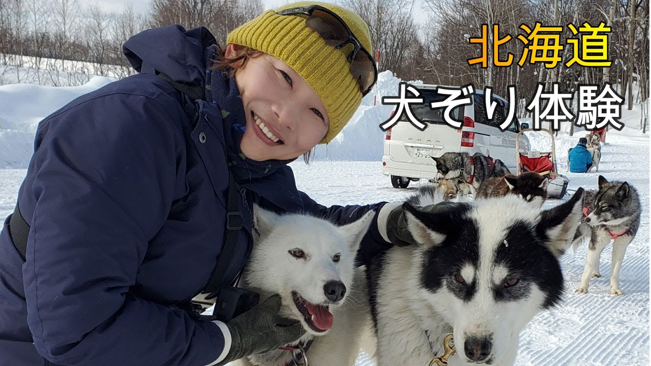 北海道犬ぞり