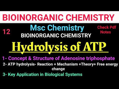 ATP Hydrolysis-Concept+Mechanism Application #mscchemistrynotes #bioinorganic  @itschemistrytime