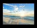 Relax, meditate, and go into the world of your dreams with enchanting piano music
