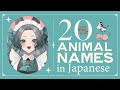 【Japanese Vocabulary】20 Animal Names in Japanese【Japanese teacher / Bilingual Vtuber】