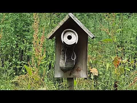 Голландия сады замка Арсен Arcen Lingsforterweg Нидерланды