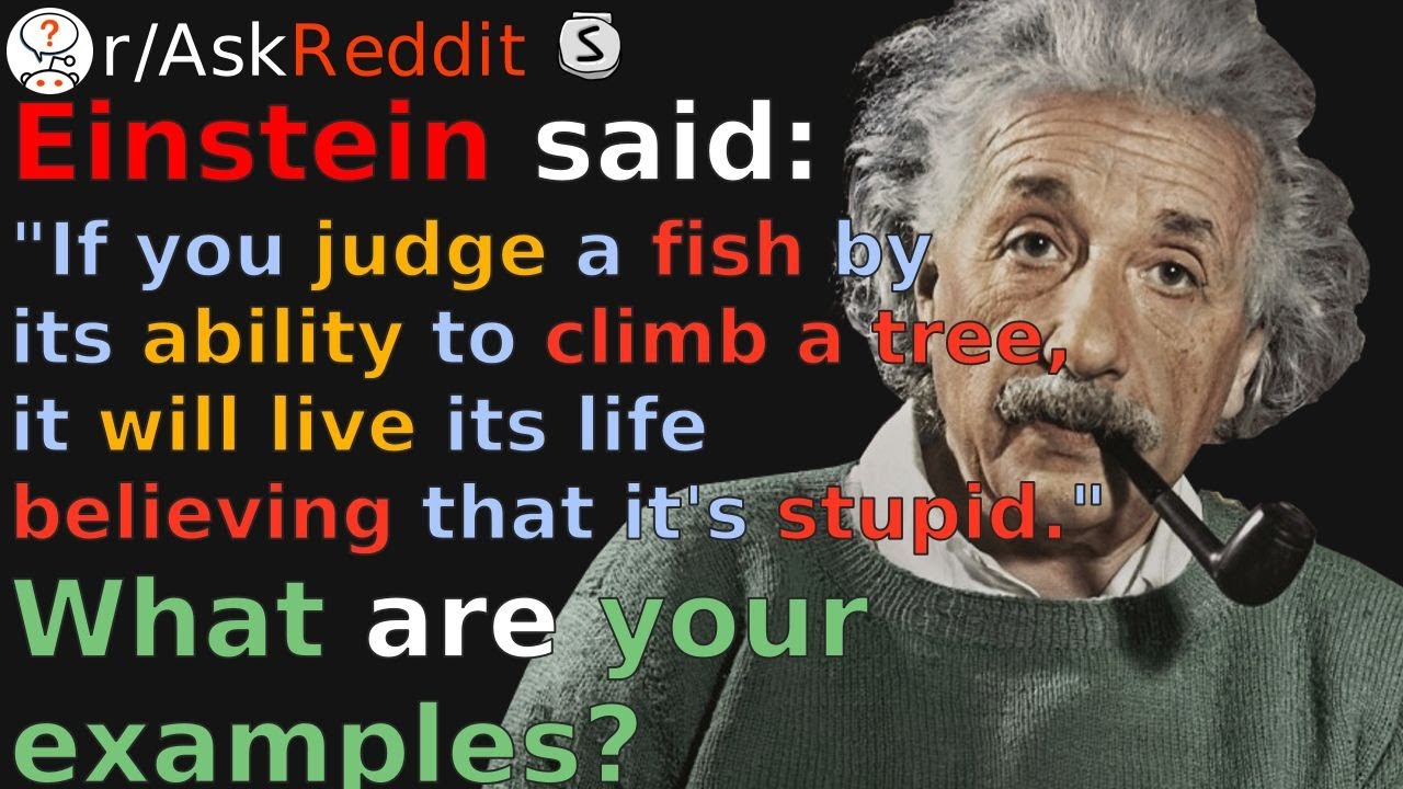 Redditor Example Redditors real-life examples of misjudging (r/AskReddit) - YouTube