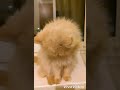 الى كل شاب مضروب بوري من الحب الى كل شاب مضروب بوري من الحب
